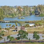 article image - 